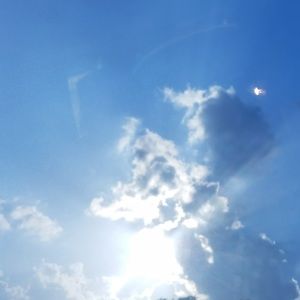 Meet your Posher, Elvis